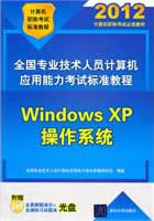 全国专业技术人员计算机应用能力考试标准教程--Windows XP操作系统(配光盘)